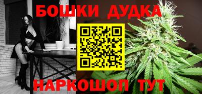 шишки Будённовск