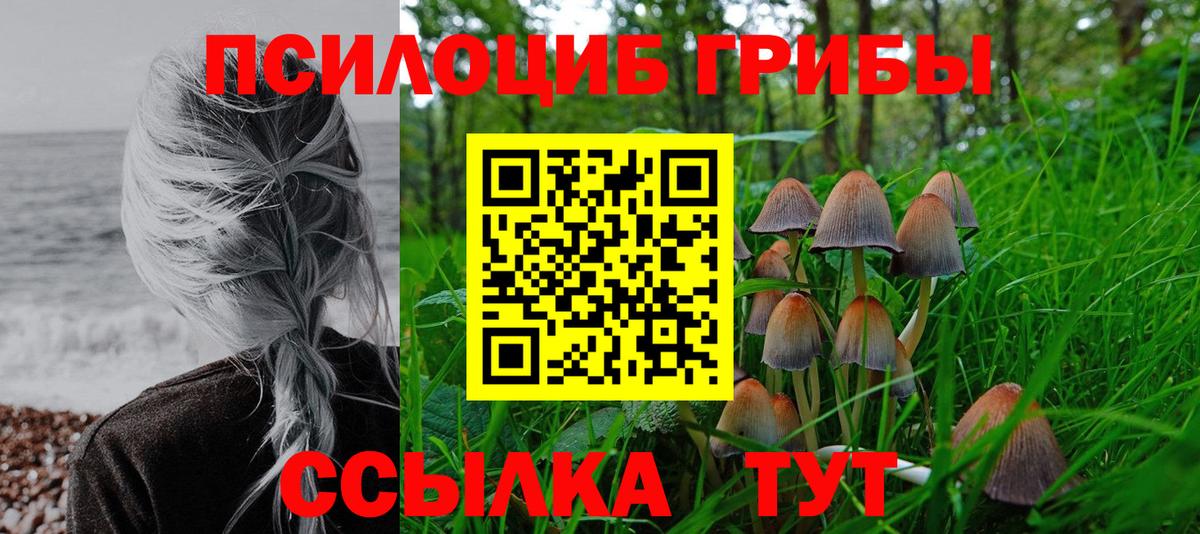 Галлюциногенные грибы ЛСД Калач-на-Дону