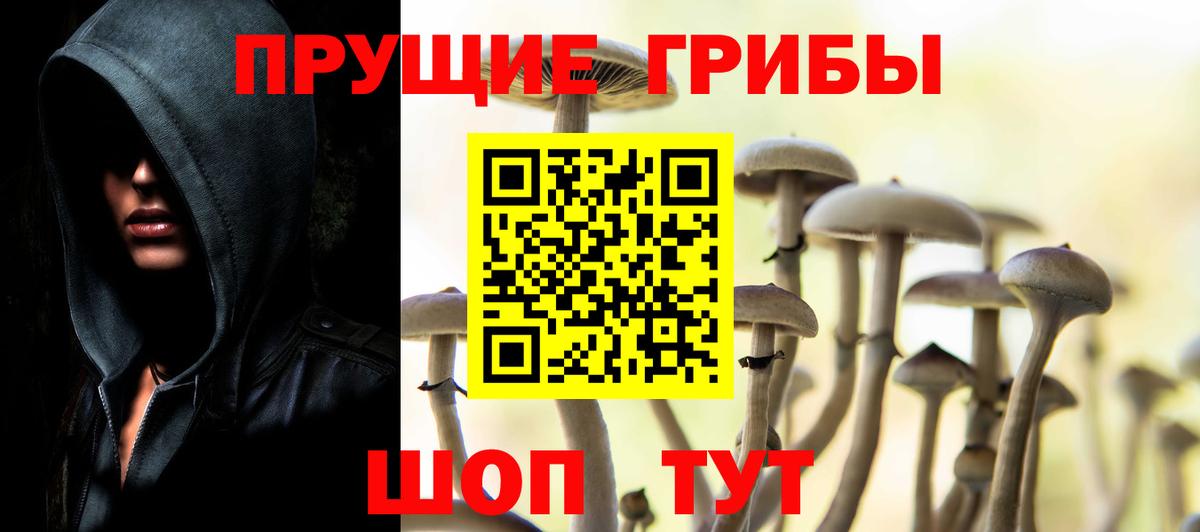 Псилоцибиновые грибы MAGIC MUSHROOMS Калач-на-Дону