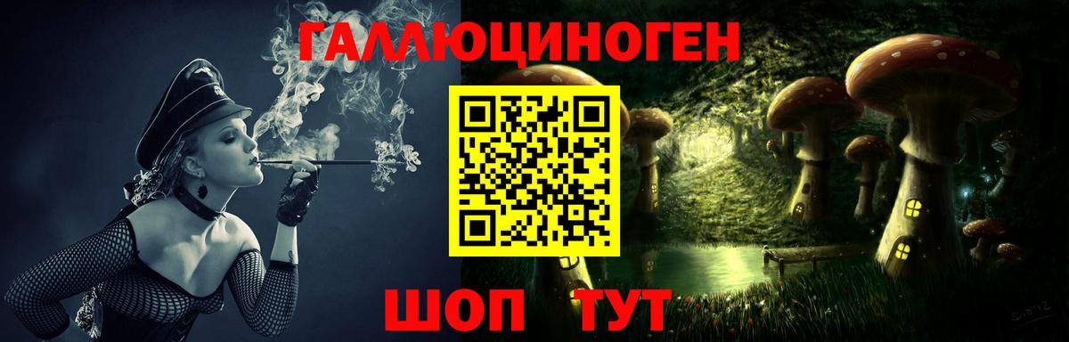 Псилоцибиновые грибы MAGIC MUSHROOMS  Галлюциногенные грибы GOLDEN TEACHER  Калач-на-Дону  Вход с VPN 