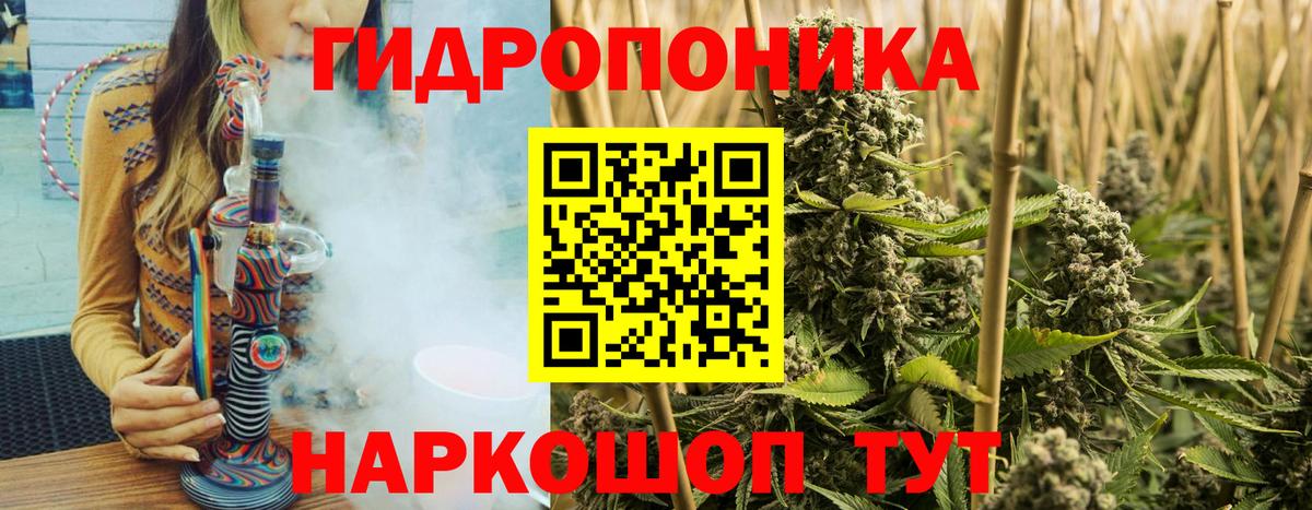 Конопля OG Kush Калач-на-Дону